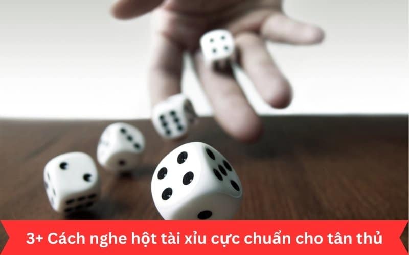 kỹ thuật đọc vị xóc đĩa